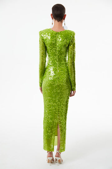 AURORA IN PEYOTE  THE NEW ARRIVALS - ILKYAZ OZEL