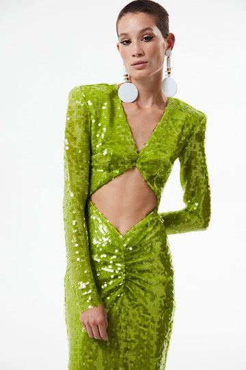 AURORA IN PEYOTE  THE NEW ARRIVALS - ILKYAZ OZEL