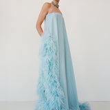 SWAN IN BLEU ROI