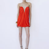 OLIVIENNE MINI IN AMBERICA